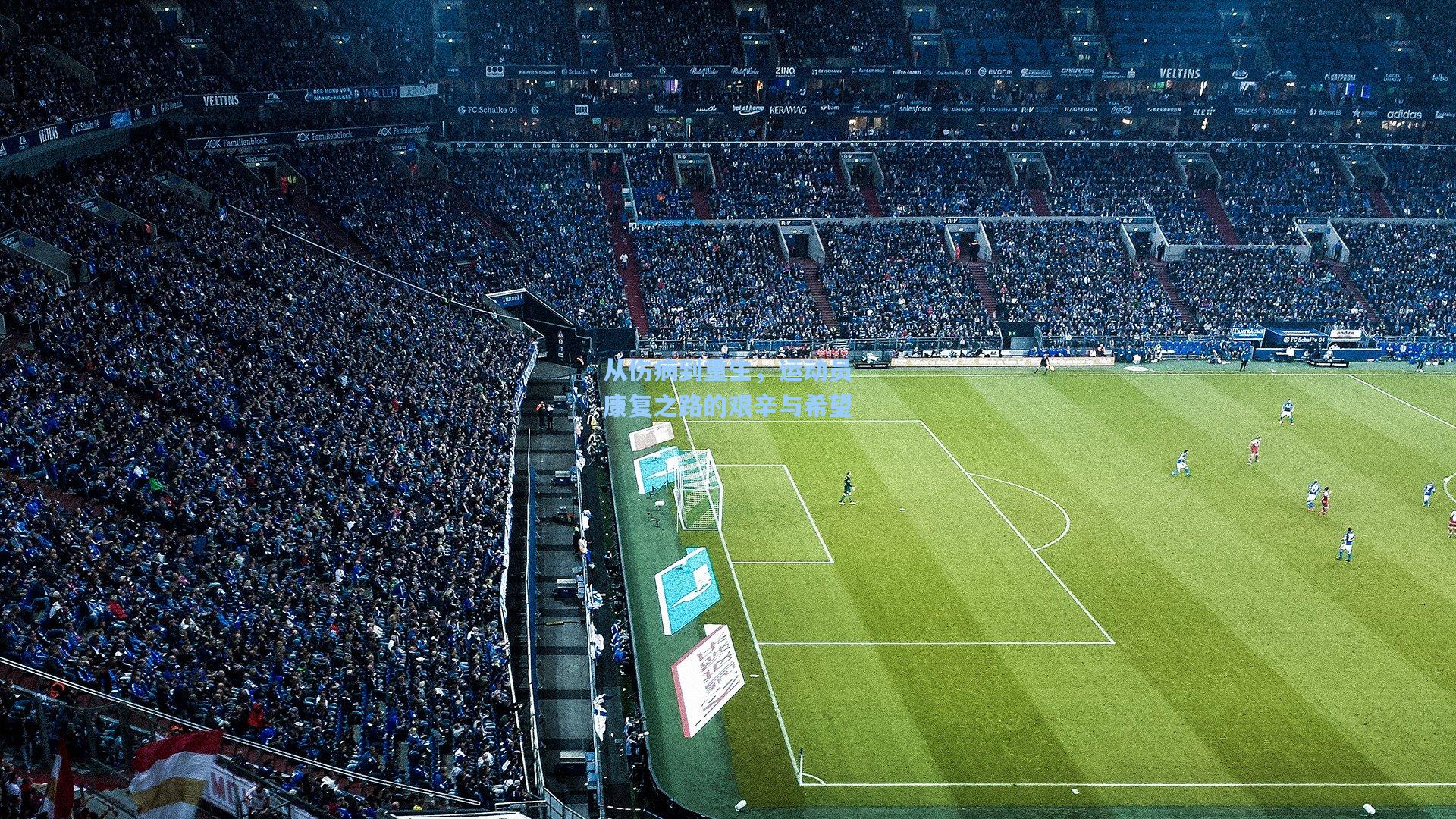 从伤病到重生,运动员康复之路的艰辛与希望