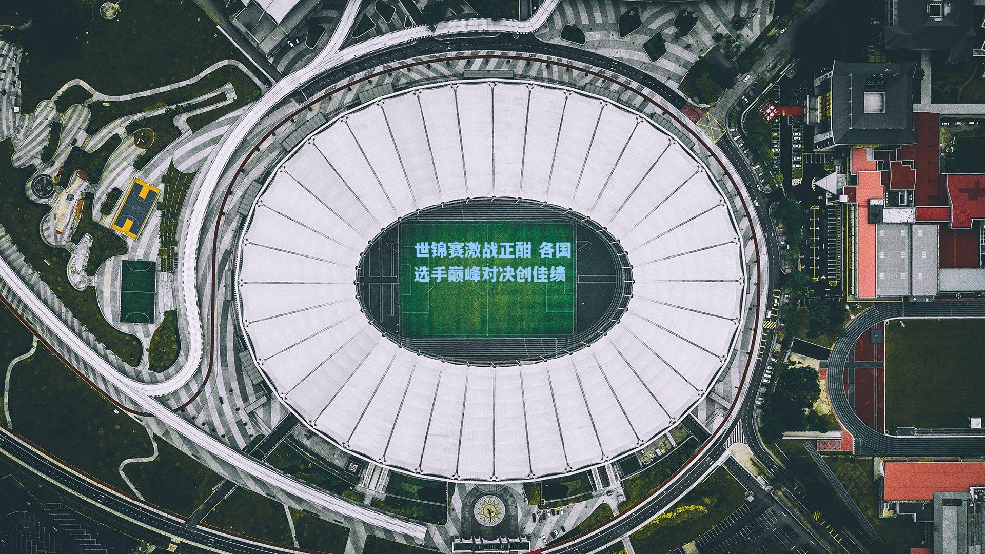 世锦赛激战正酣 各国选手巅峰对决创佳绩