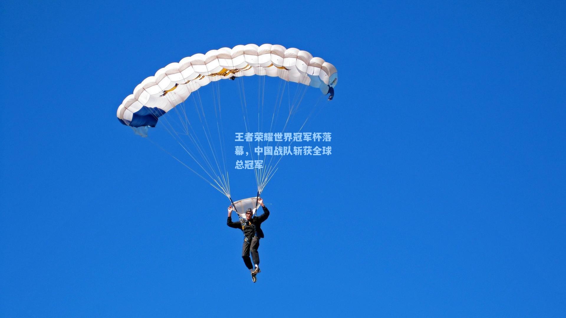 彩经网：王者荣耀世界冠军杯落幕，中国战队斩获全球总冠军